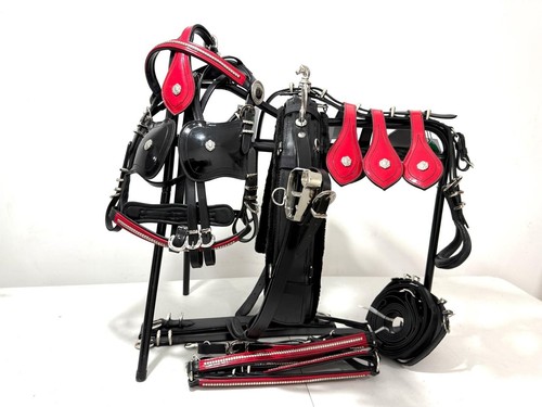 Driving harness shetland quick - driving,