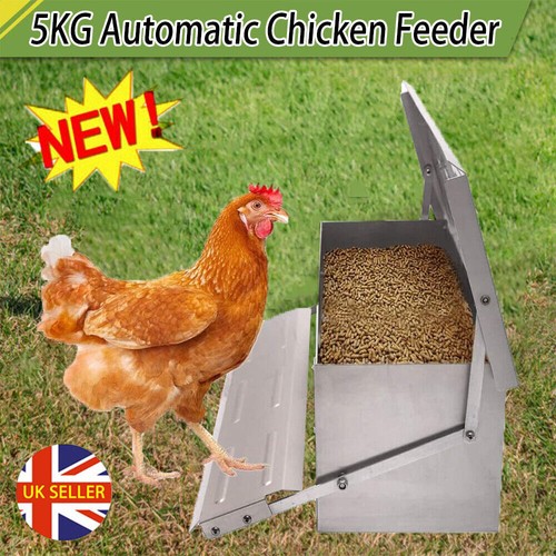 5kg automatic chicken chook - automatic,