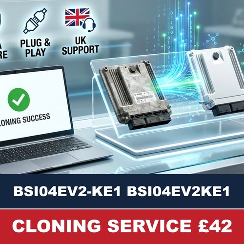 Cloning service bsi04ev2 ke1 - cloning, bsi04ev2-ke1