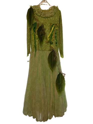 Pantomime dame costume green - pantomime,