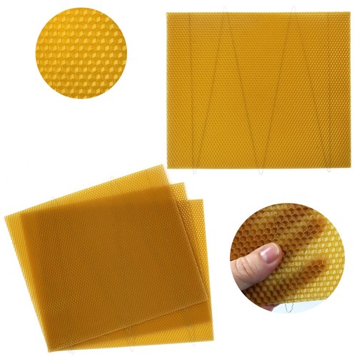 National beehive deep - national, brood