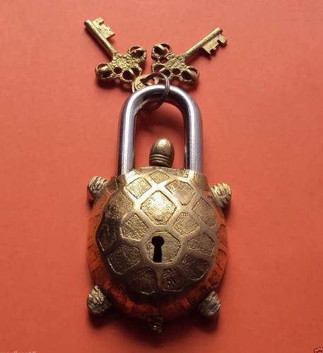 Vintage turtle tortoise - turtle,
