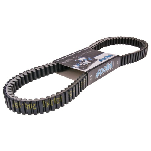 Drive belt polini - belt, v-belt