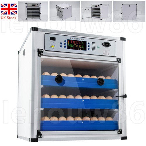 Automatic digital incubator - automatic,