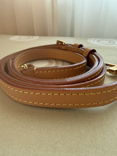 Louis vuitton treated leather - treated,