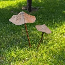 Metal Metal Rusty Mushroom