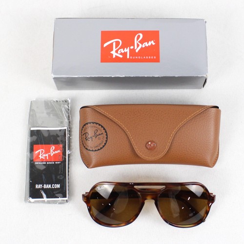 Ray ban powderhorn - ray-ban,