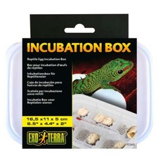 Reptile Incubation Incubator