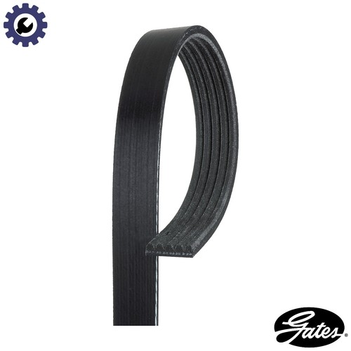 Vribbed belt 5pk1005 for - vribbed,