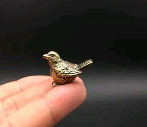 Very small tiny sparrow - very,