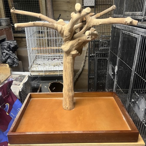 Natural java wood - parrot, mini
