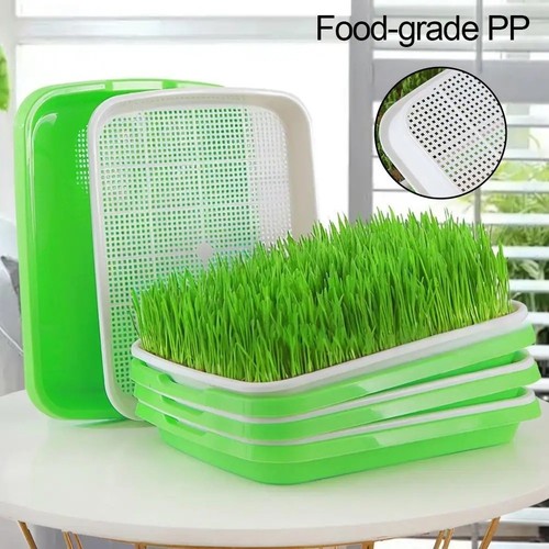 Pcs microgreen sprouter - microgreen,