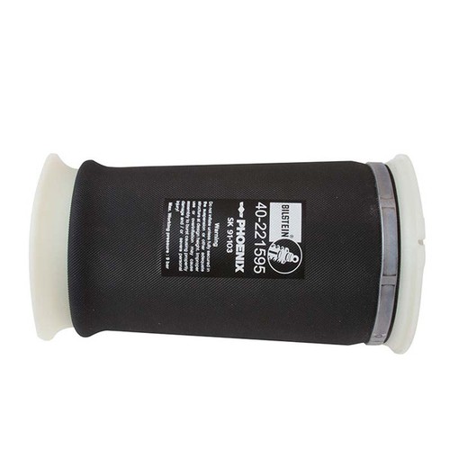221595 rear right left air - 40-221595,