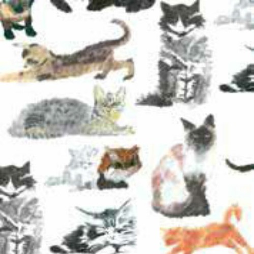 Cats kittens print tissue - print,