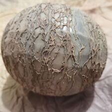 Segnosaur Dinosaur Egg Fossilized Crystallized Fossil Jurassic Cretaceous World