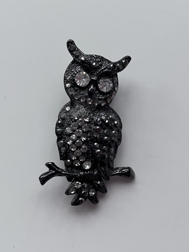 The owl that knows too - owl, much