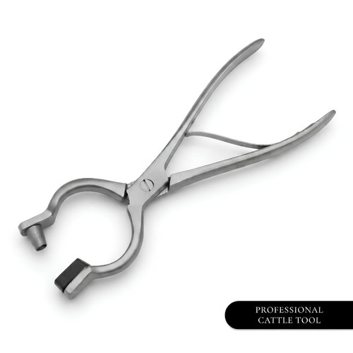 Crafts bull nose - nose, ring