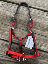 Congress Leather M miniature horse size metallic red Western show halter US made