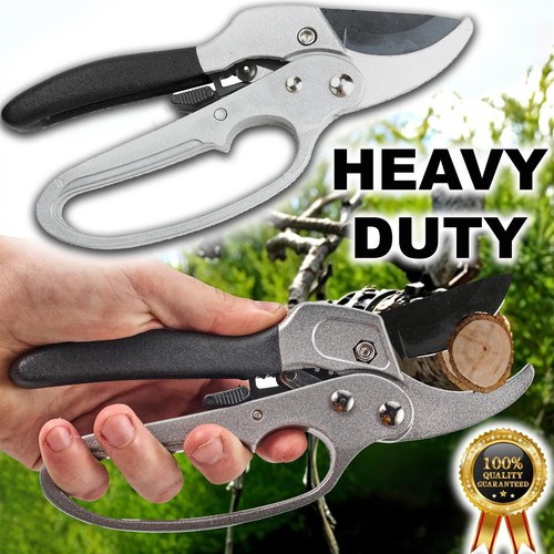 Ratchet anvil secateurs - anvil,
