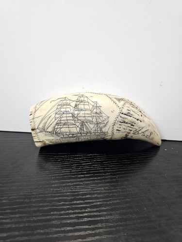 Scrimshaw sperm whale - sperm,