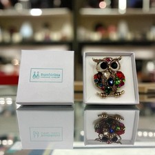 Colourful Owl brooch
