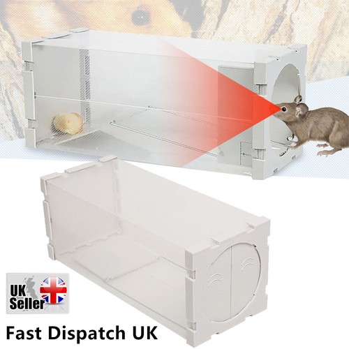 Auto mouse trap - mouse, live