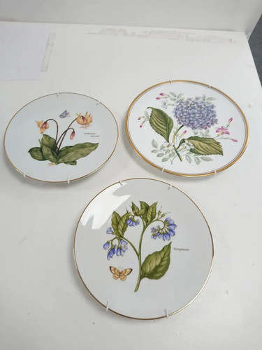 Spode s garden flowers - &,