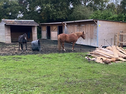 Portable equestrian buildings - equestrian,