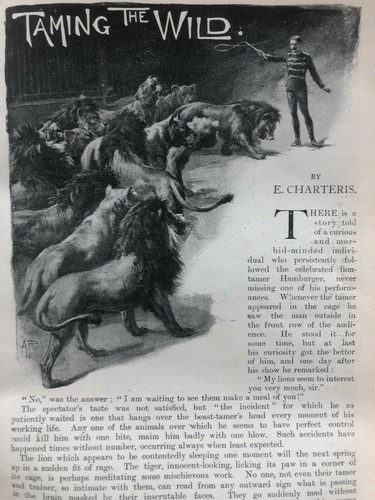 Wild animal taming - wild,