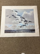 Peter Scott Signed Limited