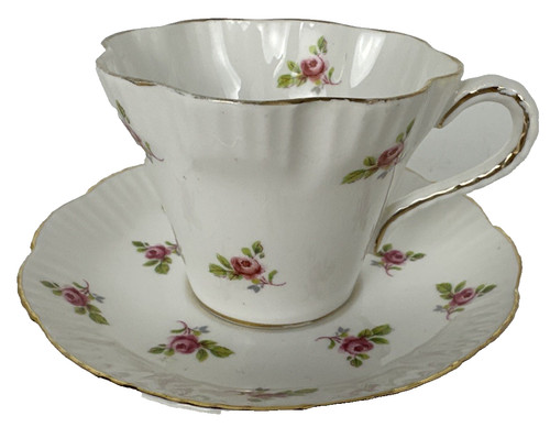 Salisbury fine eggshell bone - salisbury,
