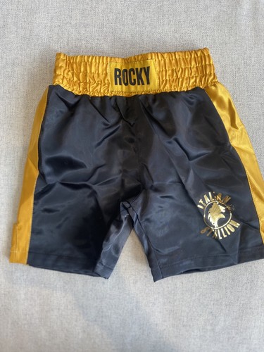 Rocky movie replica - rocky,