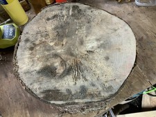 Large Spalted Sycamore Wood