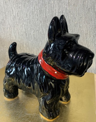 Dog scottish terrier money - terrier,