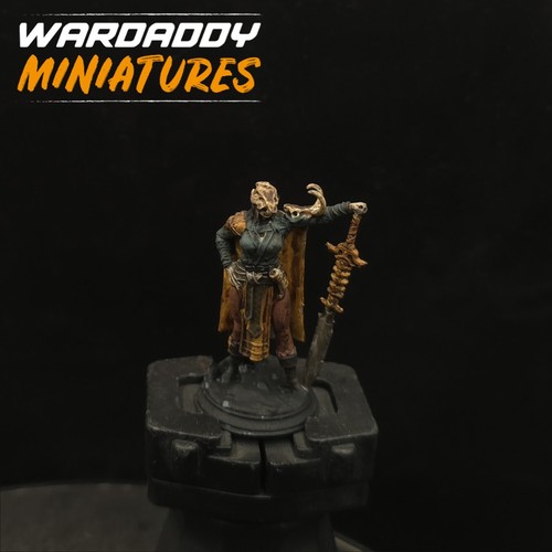 Pro painted dungeons dragons - &,