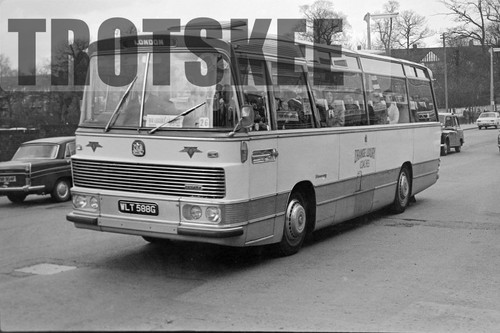 35mm negative orange - negative, coaches