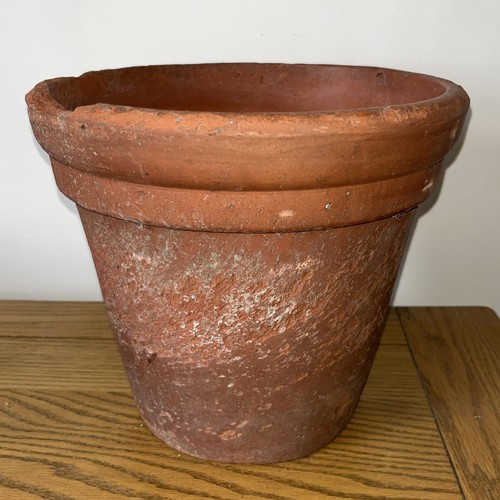 Huge sankey bullwell hand - huge,
