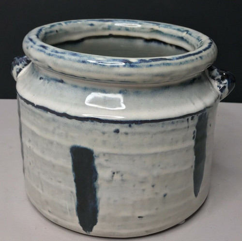 Flower pot zebra ceramic - flower,