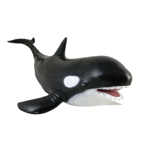 Soft whale orca ocean - soft,