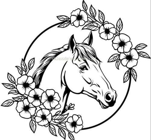 Horse box vinyl - horse, decal
