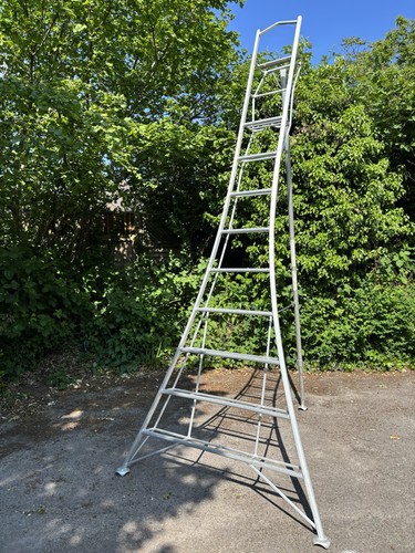 10ft henchman tripod ladder - 10ft/3m,