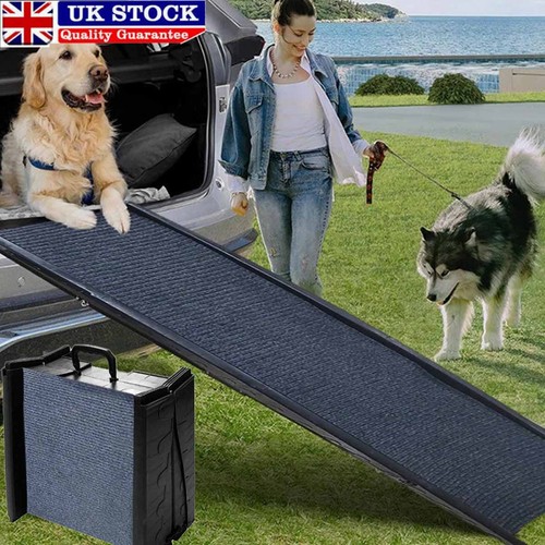 Large dog pet - pet, ramp