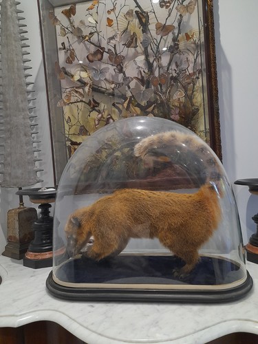 Large antique victorian - antique, glass