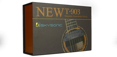 Skysonic acoustic guitar - acoustic,