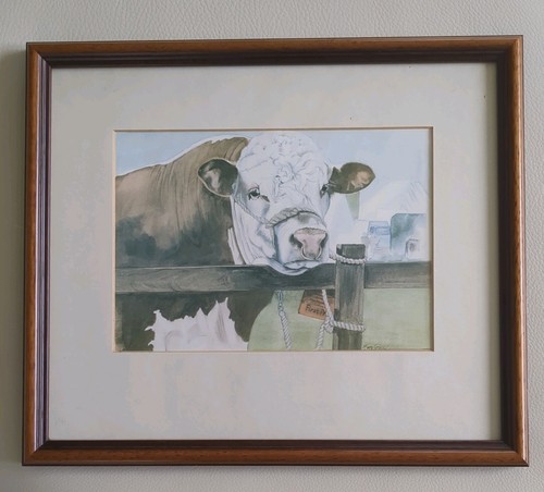 Framed print hereford bull - print,