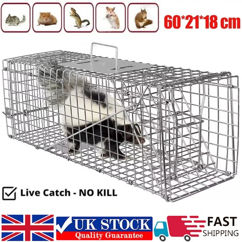 Trap humane cage - cage, live