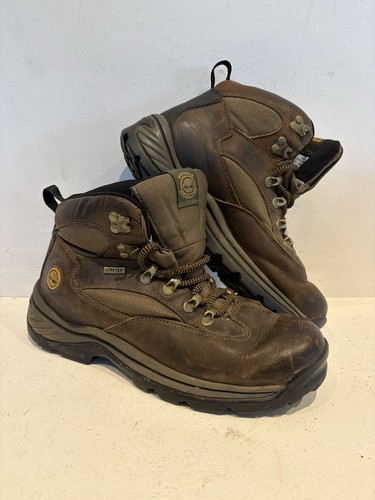 Timberland chocorua goretex - chocorua,