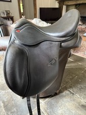 Whitaker 16" Pony Black