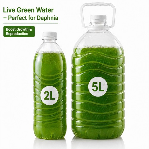 Live green water - -, 2l