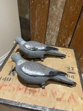 Full Bodied Pigeon Decoy